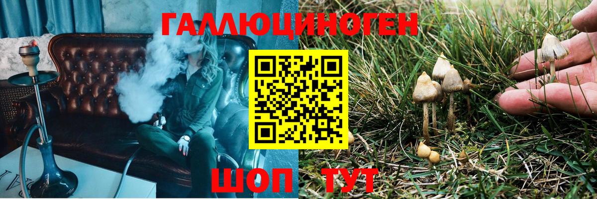 Галлюциногенные грибы ЛСД Луховицы