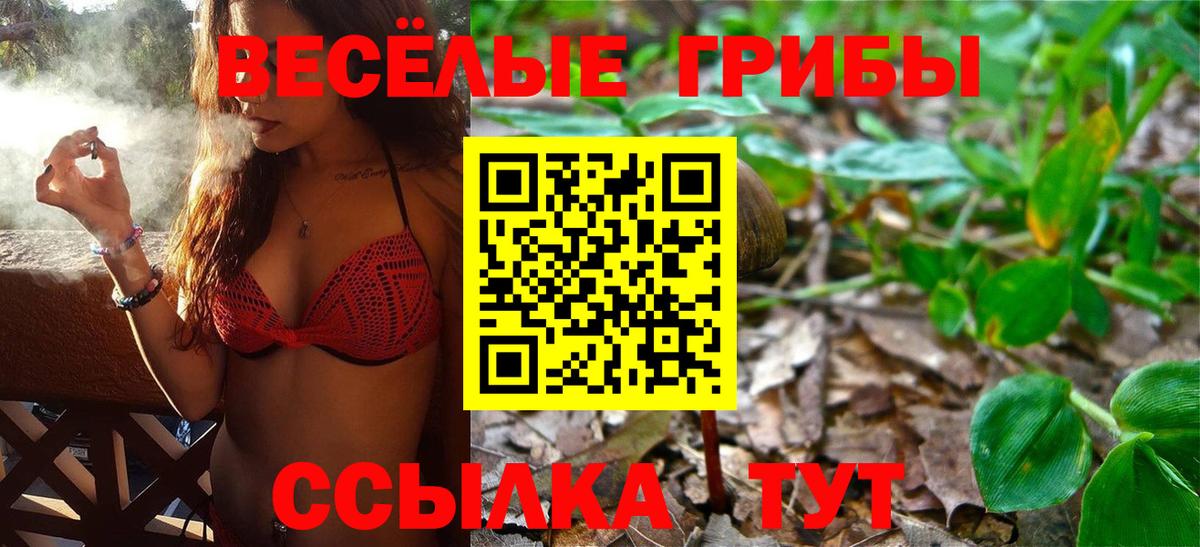продажа наркотиков  Вход с VPN  Псилоцибиновые грибы GOLDEN TEACHER  Луховицы  Псилоцибиновые грибы Magic Shrooms 